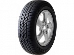 Шина Maxxis WP-05 Arctic Trekker 155/70 R13 75T