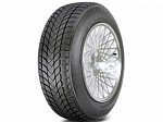 Шина Landsail WINTER LANDER 225/40 R18 92V