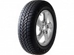 Шина Maxxis WP-05 Arctic Trekker 225/60 R16 102H