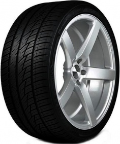 Шина Delinte Desert storm ii ds8 225/55 R19 99V