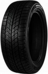 Шина Double Star DW09 255/50 R20 109H