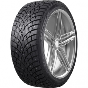 Шина Triangle IcelynX TI501 275/40 R20 106T