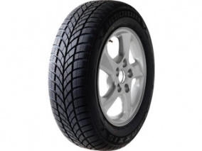 Шина Maxxis WP-05 Arctic Trekker 215/65 R15 100H
