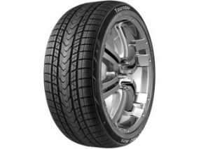 Шина Tourador WINTER PRO Max 255/50 R19 107V