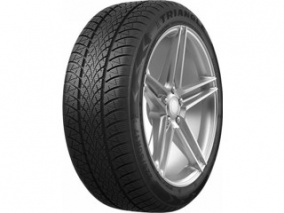 Шина Triangle WinterX TW401 195/55 R15 85H