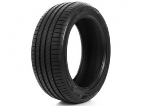 Шина Delinte DS-2 SUV 225/70 R16 103H